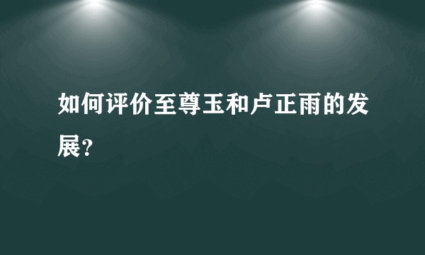 如何评价至尊玉和卢正雨的发展？
