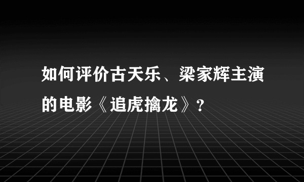 如何评价古天乐、梁家辉主演的电影《追虎擒龙》？