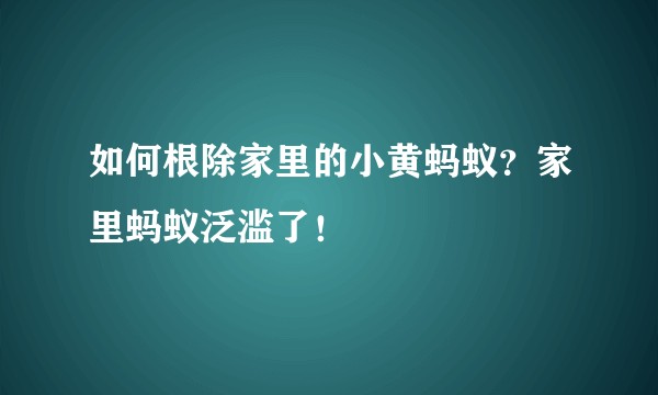 如何根除家里的小黄蚂蚁？家里蚂蚁泛滥了！