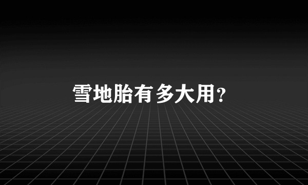 雪地胎有多大用？