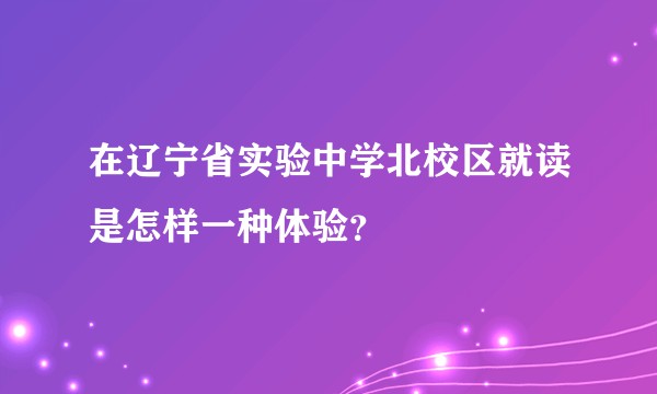 在辽宁省实验中学北校区就读是怎样一种体验？