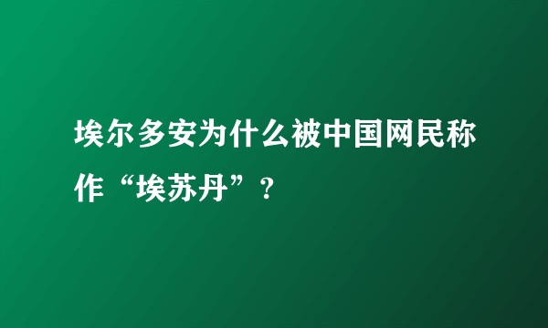 埃尔多安为什么被中国网民称作“埃苏丹”?