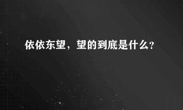 依依东望，望的到底是什么？