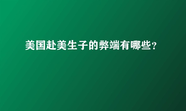 美国赴美生子的弊端有哪些?