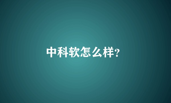中科软怎么样？