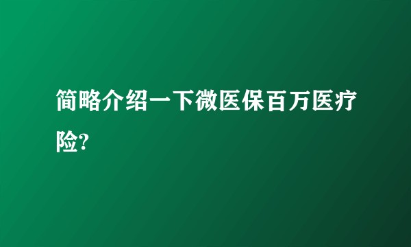 简略介绍一下微医保百万医疗险?