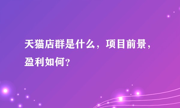 天猫店群是什么，项目前景，盈利如何？