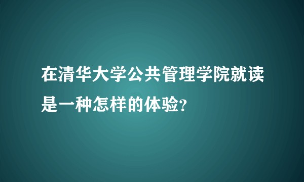 在清华大学公共管理学院就读是一种怎样的体验？