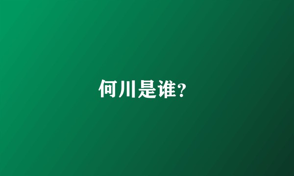 何川是谁？