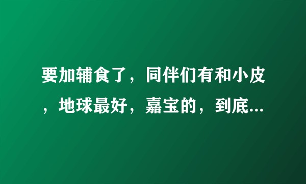 要加辅食了，同伴们有和小皮，地球最好，嘉宝的，到底哪一款好呢？