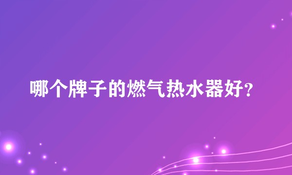 哪个牌子的燃气热水器好？