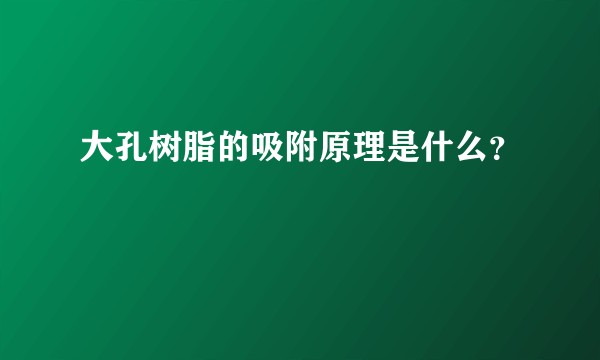 大孔树脂的吸附原理是什么？