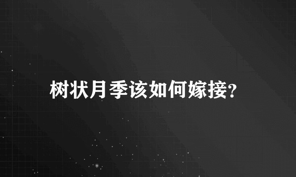 树状月季该如何嫁接？