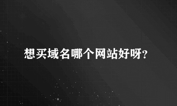 想买域名哪个网站好呀？