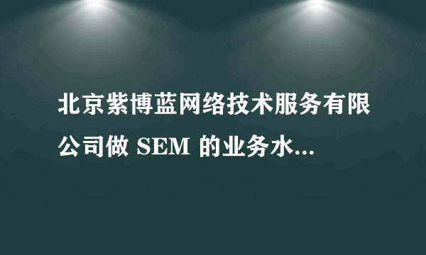 北京紫博蓝网络技术服务有限公司做 SEM 的业务水平如何？