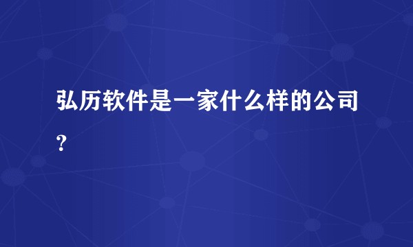 弘历软件是一家什么样的公司？