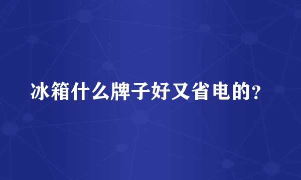 冰箱什么牌子好又省电的？