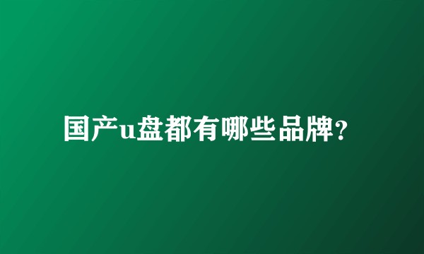 国产u盘都有哪些品牌？