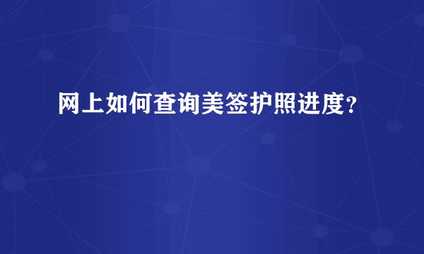 网上如何查询美签护照进度？
