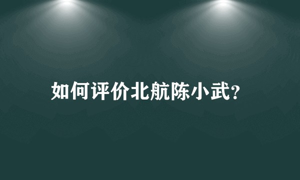 如何评价北航陈小武？