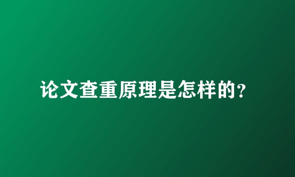 论文查重原理是怎样的？