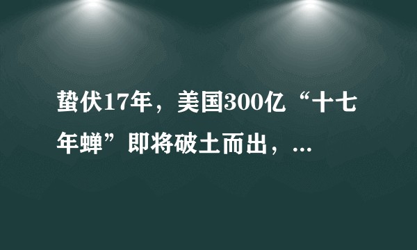 蛰伏17年，美国300亿“十七年蝉”即将破土而出，你知道什么关于蝉、周期蝉的故事或冷知识吗？