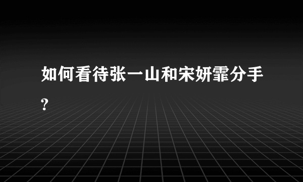 如何看待张一山和宋妍霏分手?