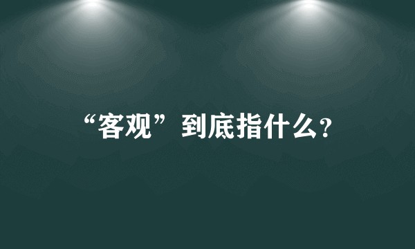 “客观”到底指什么？