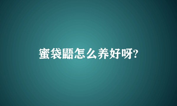 蜜袋鼯怎么养好呀?