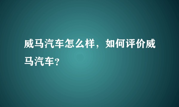 威马汽车怎么样，如何评价威马汽车？