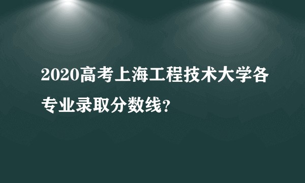2020高考上海工程技术大学各专业录取分数线？