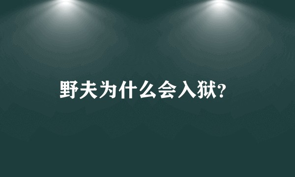 野夫为什么会入狱？