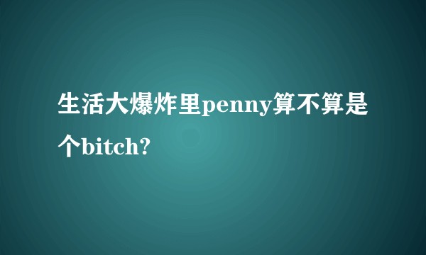 生活大爆炸里penny算不算是个bitch?