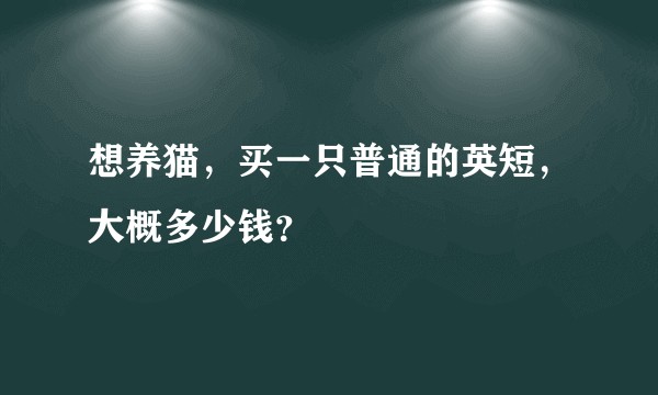 想养猫，买一只普通的英短，大概多少钱？