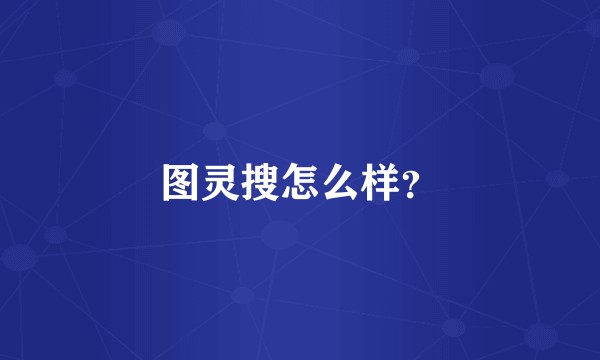图灵搜怎么样?