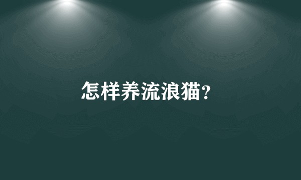 怎样养流浪猫？