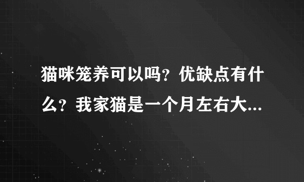 猫咪笼养可以吗?优缺点有什么?我家猫是一个月左右大就抱回来笼养了,笼养有近三个月了,有没有什么坏处?