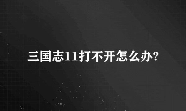 三国志11打不开怎么办?