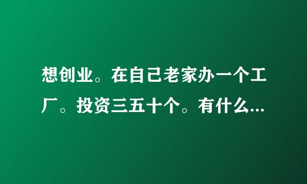 想创业。在自己老家办一个工厂。投资三五十个。有什么好的建议?