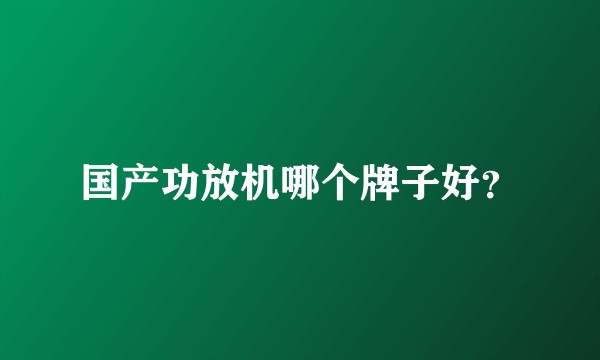 国产功放机哪个牌子好？
