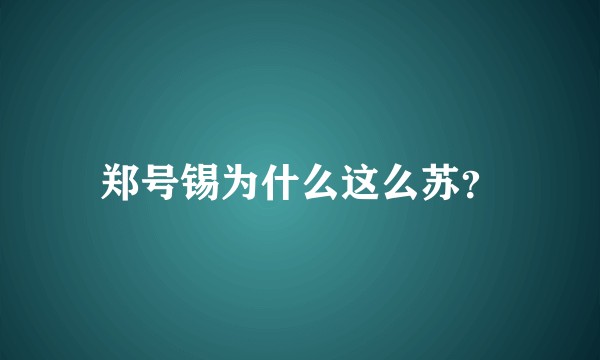 郑号锡为什么这么苏？