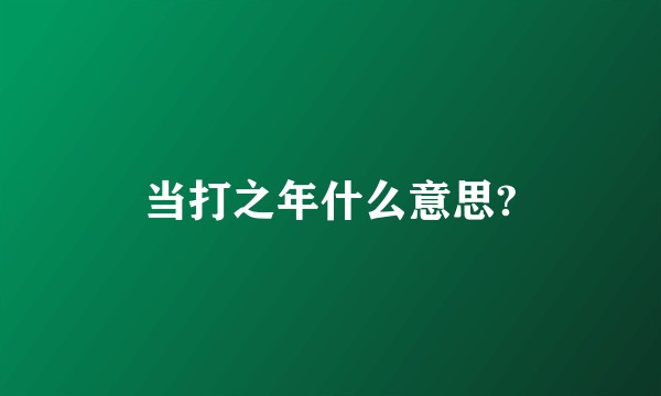 当打之年什么意思?