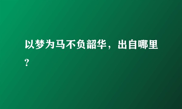 以梦为马不负韶华，出自哪里?