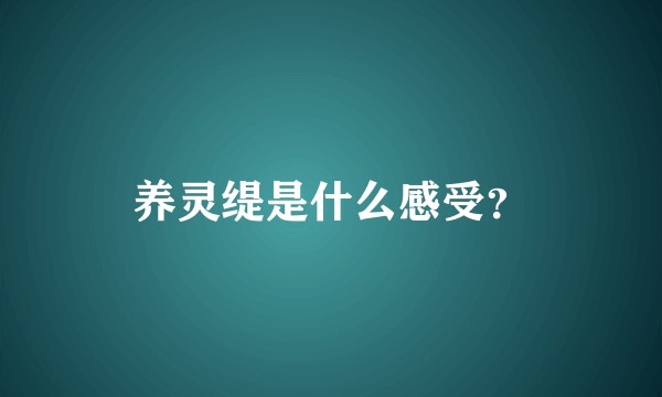 养灵缇是什么感受?