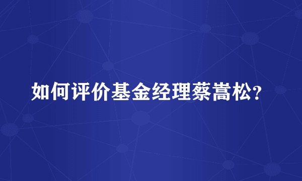 如何评价基金经理蔡嵩松?
