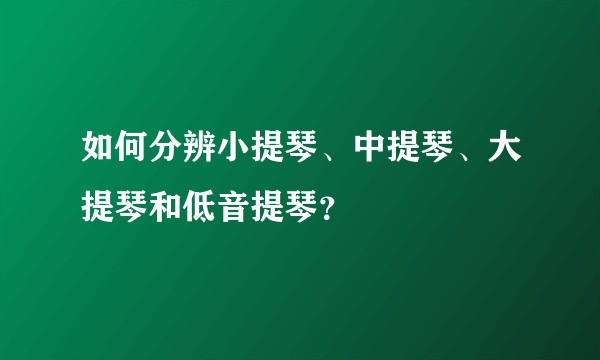 如何分辨小提琴、中提琴、大提琴和低音提琴？