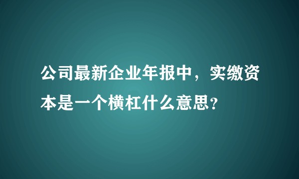 公司最新企业年报中，实缴资本是一个横杠什么意思？
