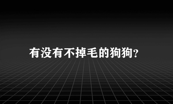 有没有不掉毛的狗狗？