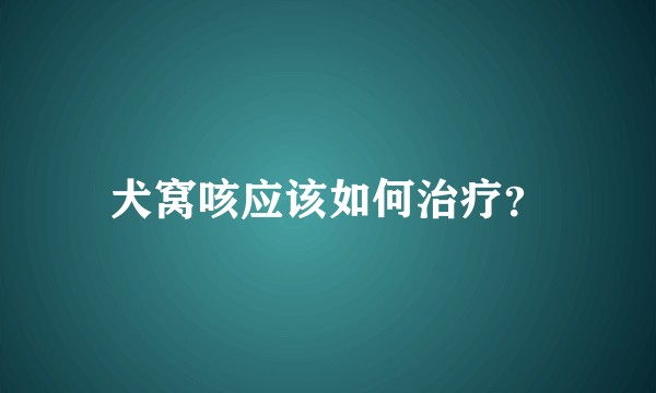 犬窝咳应该如何治疗？