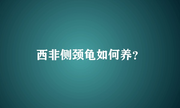 西非侧颈龟如何养？